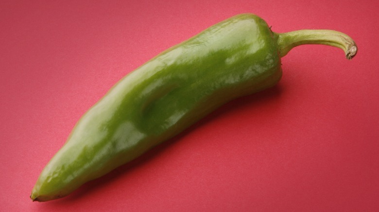 A green chile on a red background