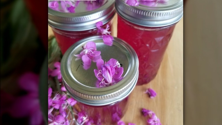 Jars of fireweed jelly with flowers