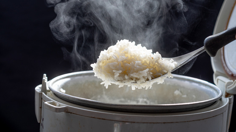 scoop of steaming hot rice