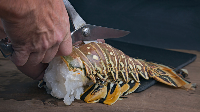 preparing spiny lobster tail