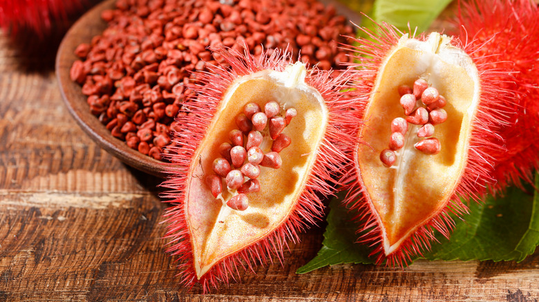 Two achiote tree seed pods