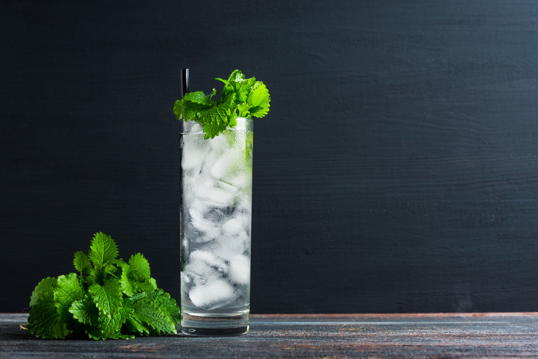 White Grape Mint Spritzer