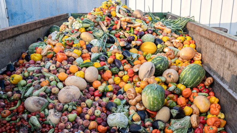 A dumpster full of spoiled fruits and vegetables