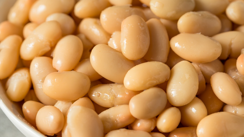 bunch of cannellini beans