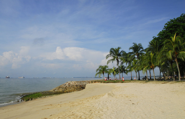 8. East Coast Park (Singapore)