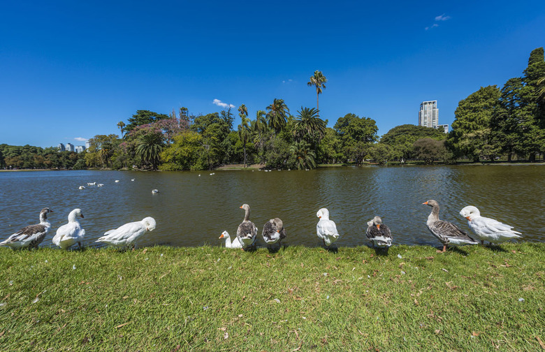 9. Parque Tres de Febrero (Buenos Aires)