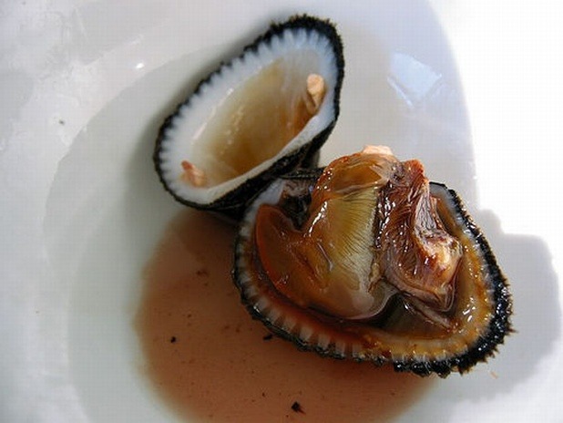 Blood Clams — Shanghai, China