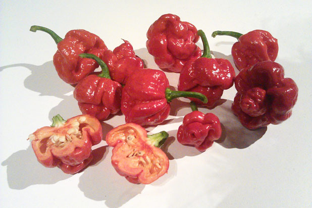 2) Trinidad Moruga Scorpion