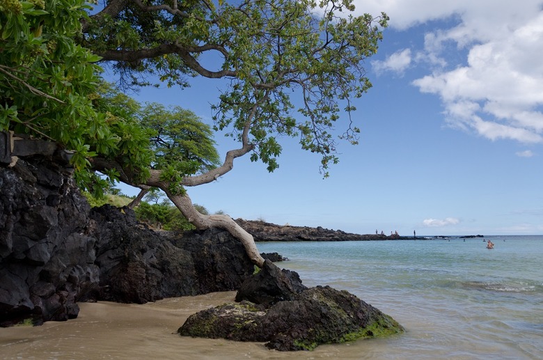 Kauna'oa Beach (Kauna'oa Bay, Hawaii)