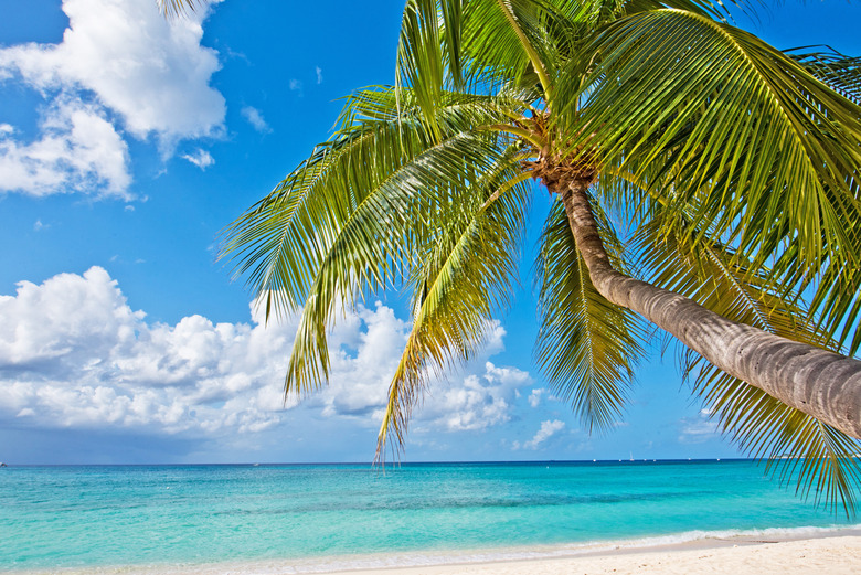 Seven Mile Beach (Grand Cayman, Cayman Islands)