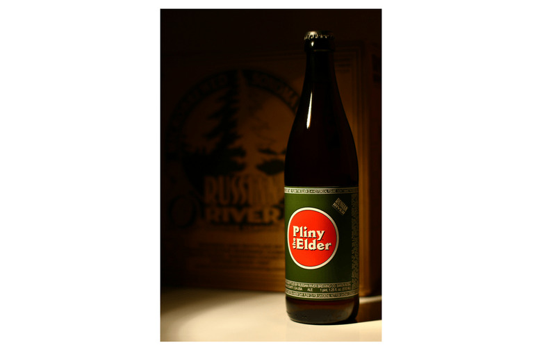 #13 Pliny the Elder