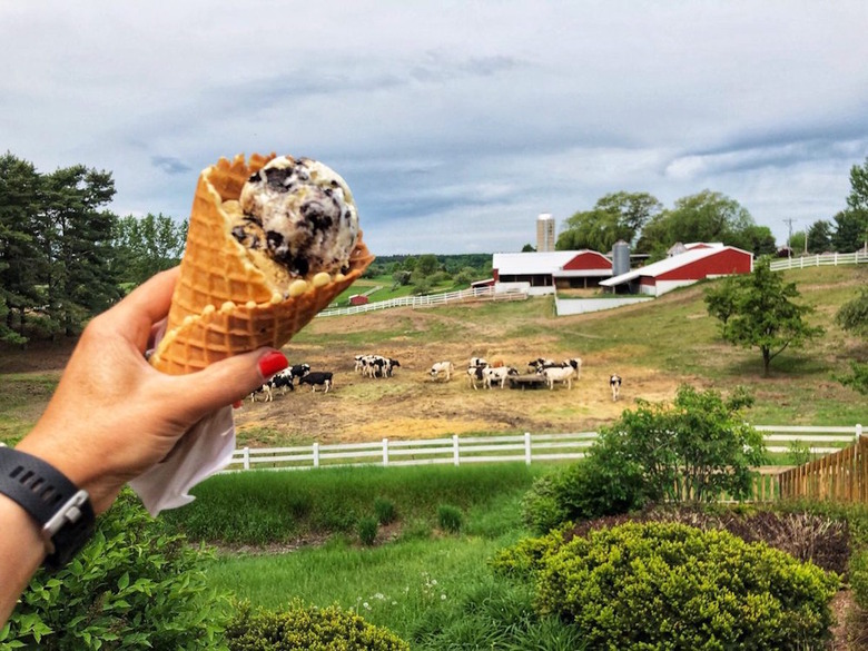 #10 Moomers Homemade Ice Cream, Traverse City, Michigan