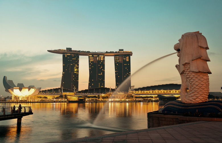 Singaporean Cuisine