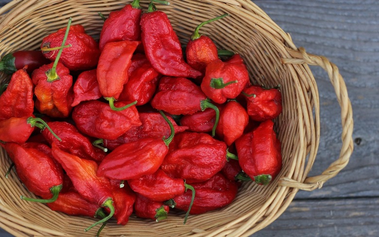 The World's Hottest Hot Sauces