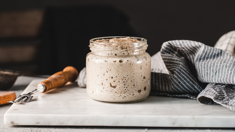 sourdough with starter