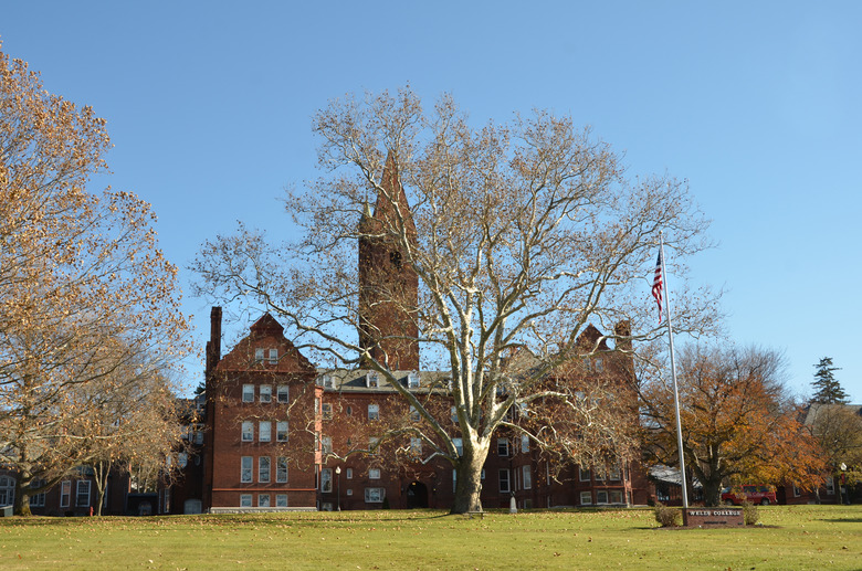 3. Wells College, Aurora, N.Y.