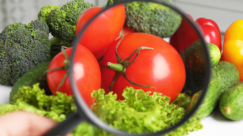 Magnifying glass inspecting vegetables 