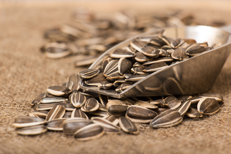 Sunflower Seeds