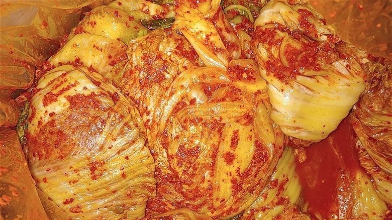 kimchi