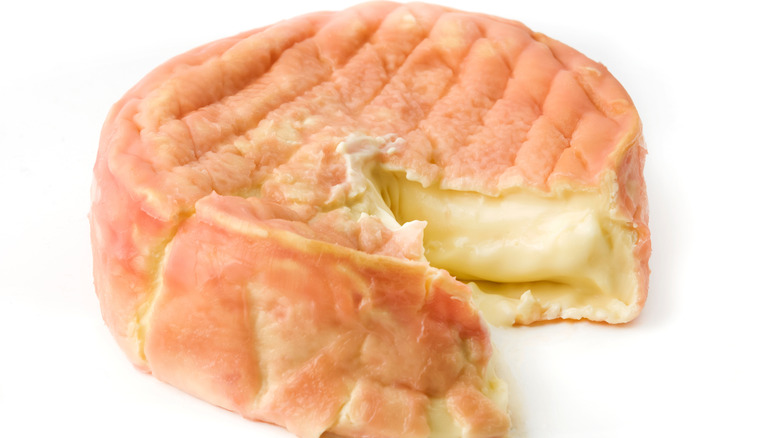 Epoisses de bourgogne cheese