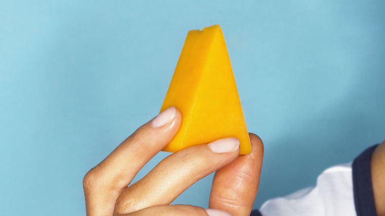 girl holding low-fat cheese