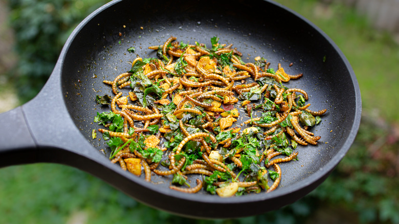 Fried worms with herbs and seasoning