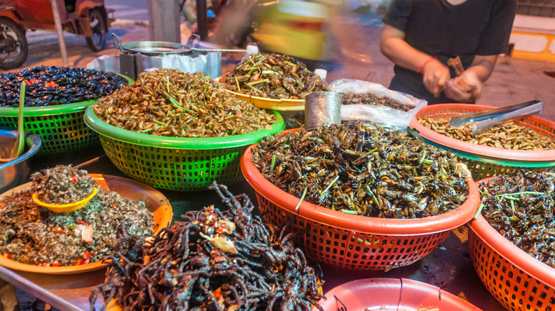 Market stand selling different kinds of bugs