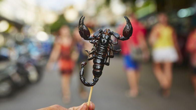 Scorpion snack on a skewer