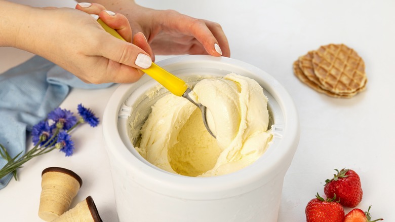 homemade ice cream maker