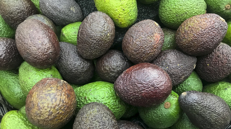 Pile of various types of avocados