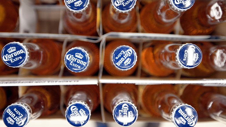 Top view of corona bottles in  six packs