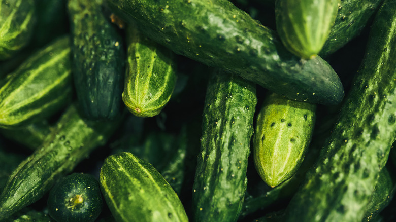 Close up of piled cucumbers