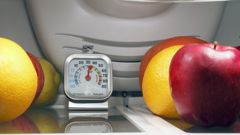 thermometer and open fridge