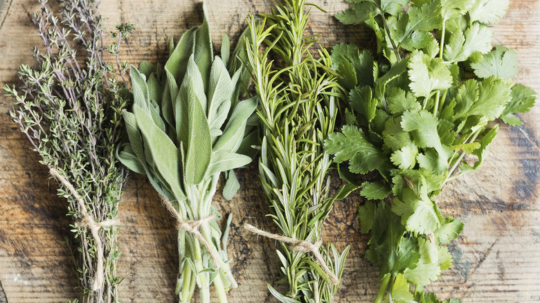 assortment of fresh herbs