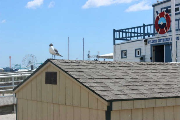 This Is Margaritaville: A Visit to Atlantic City