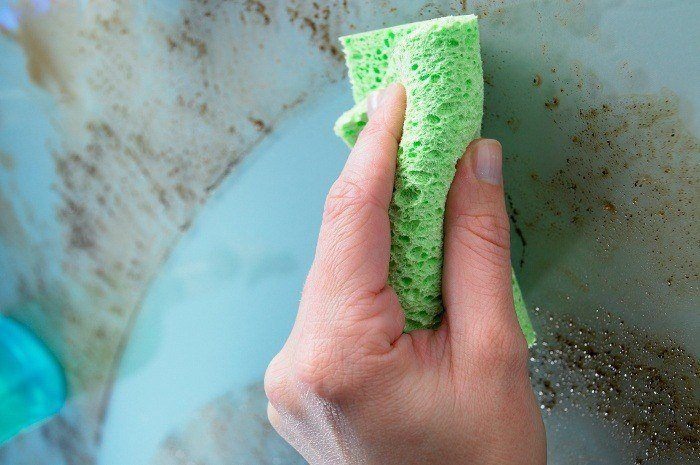 https://www.thedailymeal.com/img/gallery/this-is-the-dirtiest-thing-in-your-kitchen/sponge%20thinkstock.jpg