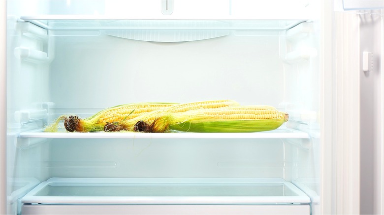 Ears of corn in refrigerator