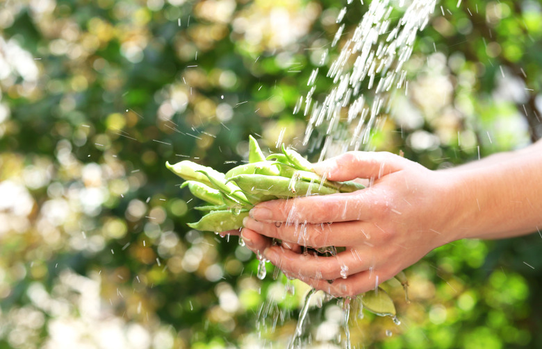 Wash Under Clean Running Water 