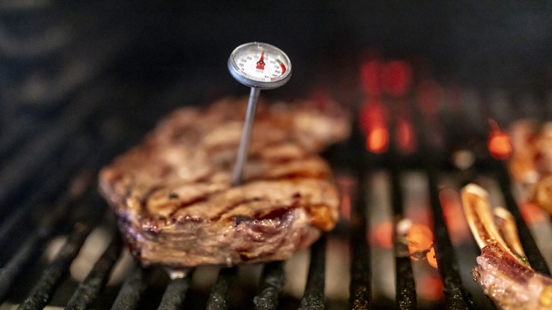 steak with meat thermometer