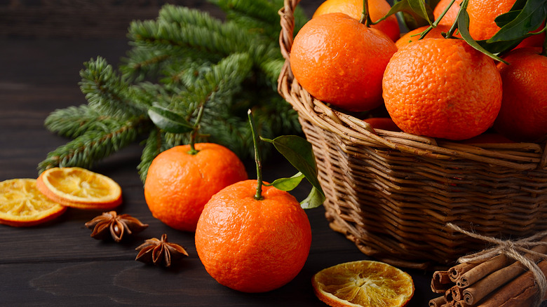 clementines with fir tree branch