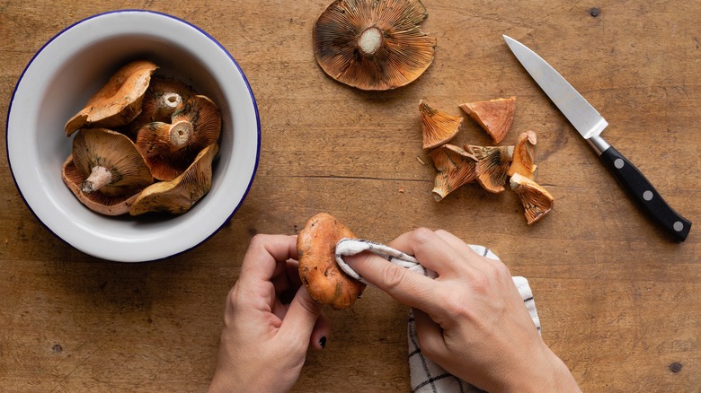 Person cleaning mushrooms with towel