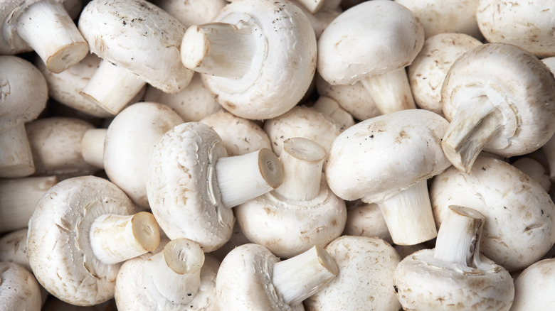 Pile of white button mushrooms