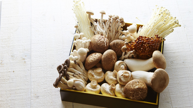 Assorted mushrooms in a box