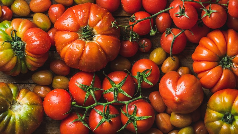 various types of tomatoes