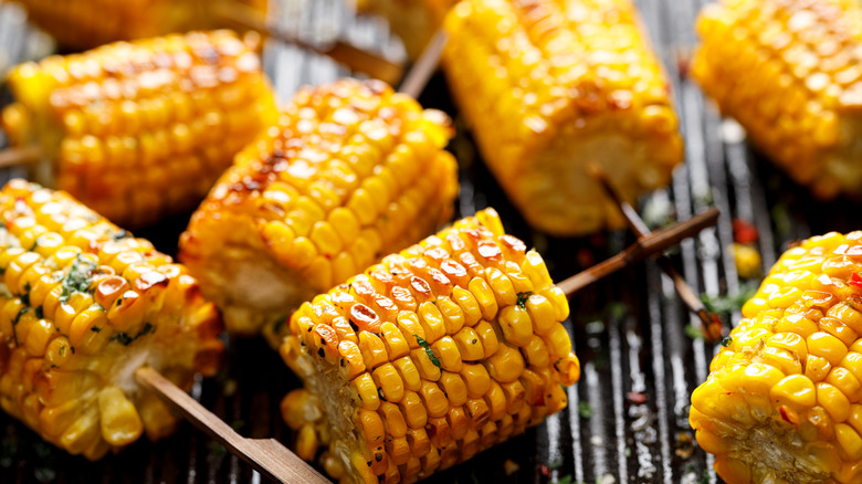 Grilled corn cobs