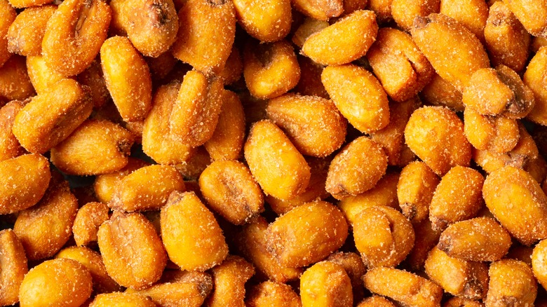 Salted corn nuts close up