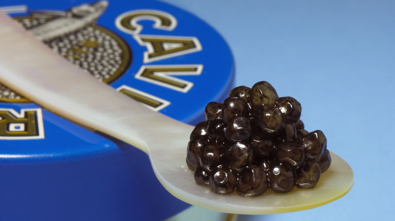 Caviar can with caviar spoonful