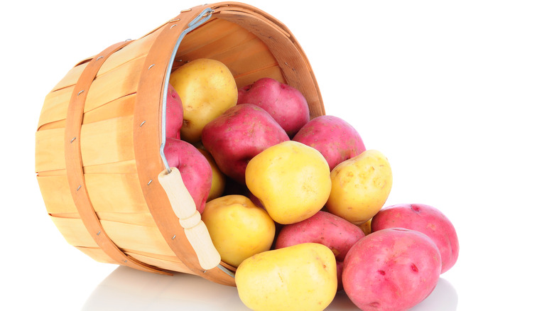 Yukon gold and red potatoes in basket