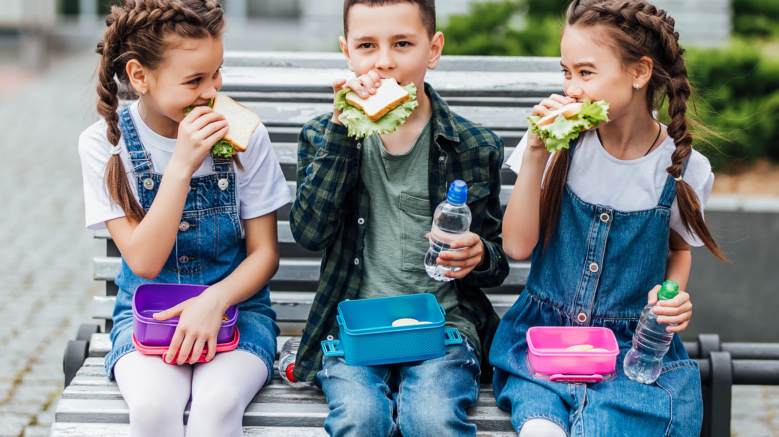 Back to School Guide: Lunch Packing Made Easy - Findlay Family