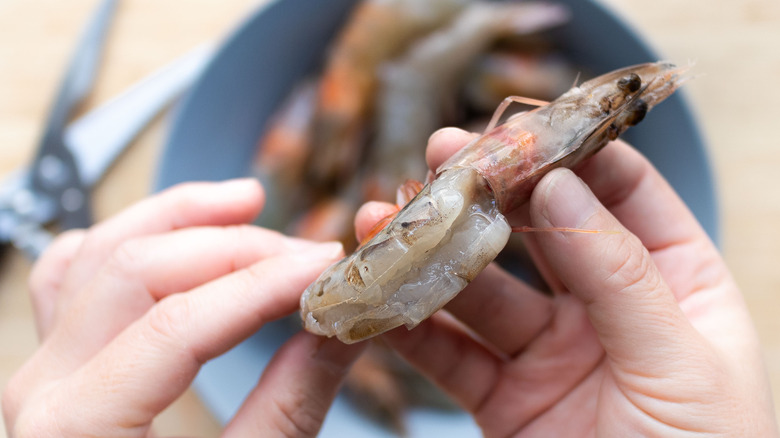 hands holding deveined shrimp